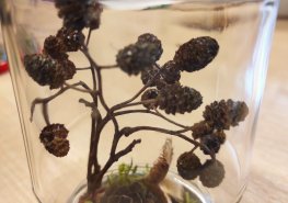 I STONAT SE DÁ S ÚSMĚVEM aneb říjen 2024 na dětském oddělení